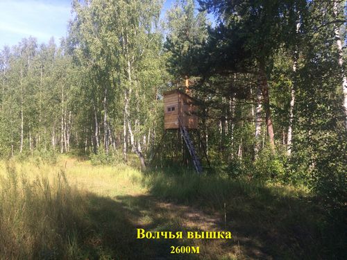 фото Вышки 2
