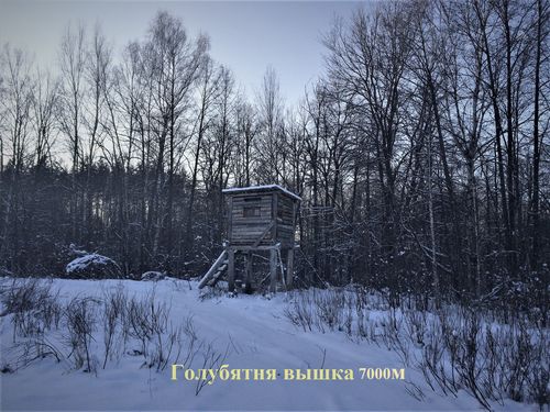 фото Вышки 4