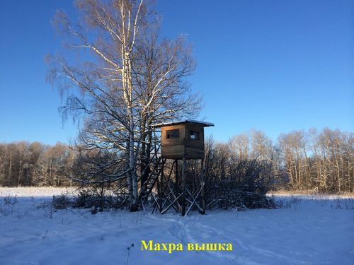 фото Вышки 6