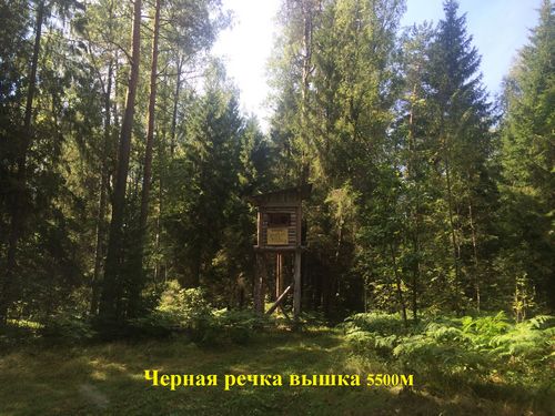 фото Вышки 8